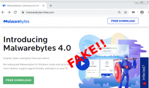 fake malwarebytes site raccoon