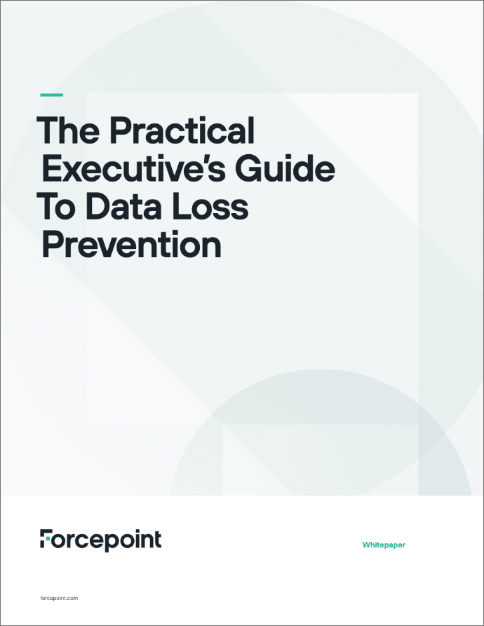 Whitepaper: The Practical Executive's Guide to Data Loss Prevention